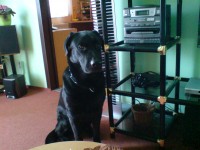 /album/ruzne/dsc02283-jpg/