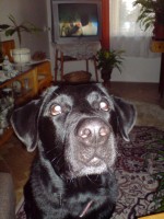 /album/ruzne/dsc02290-jpg/