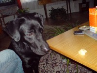 /album/ruzne/dsc02292-jpg/